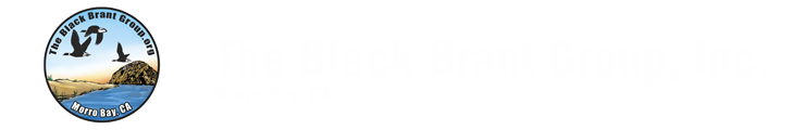 The Black Brant Group